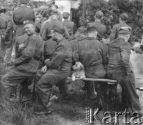 1945-1946, Lys-lez-Lannoy, Francja.
Żołnierze 2. Dywizji Strzelców Pieszych biorą udział w 