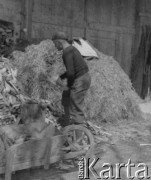 Kwiecień 1941, Kerzers, Szwajcaria.
Sierż. Jerzy Konrad Maciejewski z 5 Małopolskiego Pułku Strzelców Pieszych 2. Dywizji Strzelców Pieszych pracuje u miejscowego rolnika. Na zdjęciu rąbie drzewo na opał.
Fot. NN, kolekcja Jerzego Konrada Maciejewskiego, zbiory Ośrodka KARTA