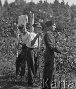 1941, Büren an der Aare, Szwajcaria.
Internowani żołnierze 2. Dywizji Strzelców Pieszych podczas prac ogrodowych. 
Fot. Jerzy Konrad Maciejewski, zbiory Ośrodka KARTA
