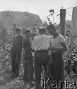 1941, Büren an der Aare, Szwajcaria.
Internowani żołnierze 2. Dywizji Strzelców Pieszych podczas przerwy od pracy w obozowym ogrodzie. 
Fot. Jerzy Konrad Maciejewski, zbiory Ośrodka KARTA

