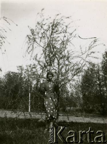 28.05.1939, Zułów, woj. wileńskie, Polska.
Kobieta pod drzewem w dawnym majątku Piłsudskich - miejscu urodzenia marszałka Józefa Piłsudskiego.
 Fot. NN, zbiory Ośrodka KARTA, udostępniła Anna Kiljan