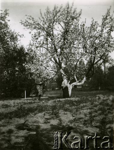 1937-1939, Zułów, woj. wileńskie, Polska.
Portret kobiet na terenie dawnego majątku Piłsudskich w Zułowie - miejscu urodzenia marszałka Józefa Piłsudskiego.
Fot. NN, zbiory Ośrodka KARTA, udostępniła Anna Kiljan
