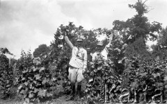 12.08.1937, Drohiczówka, Polska.
W winnicy.
Fot. Anna Wielowieyska, udostępniła Maria Wielowieyska, reprodukcje cyfrowe w  Bibliotece Polskiej im. Ignacego Domeyki w Buenos Aires (Biblioteca Polaca Ignacio Domeyko) i w Ośrodku KARTA w Warszawie
