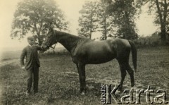 1900, Ludwipol, Polska.
Klacz 