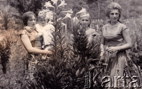 1950-1960, Wanda, Misiones, Argentyna.
Kazimiera Kotur de Przysiężnik z rodzeństwem.
Fot. NN, zbiory Asociación Polaca de Posadas, udostępniła Fabiana Śniechowski, reprodukcje cyfrowe w Bibliotece Polskiej im. Ignacego Domeyki w Buenos Aires (Biblioteca Polaca Ignacio Domeyko) i w Ośrodku KARTA w Warszawie 



