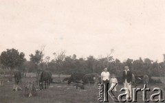 Lata 40., Kolonia Fram, prow. Itapúa, Paragwaj.
Rodzina Lachowski.
Fot. NN, zbiory Asociación Polaca de Posadas, udostępniła Fabiana Śniechowski, reprodukcje cyfrowe w Bibliotece Polskiej im. Ignacego Domeyki w Buenos Aires (Biblioteca Polaca Ignacio Domeyko) i w Ośrodku KARTA w Warszawie 



