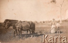 Lata 30., Kolonia Fram, prow. Itapúa, Paragwaj.
Praca na na roli.
Fot. NN, zbiory Asociación Polaca de Posadas, udostępniła Fabiana Śniechowski, reprodukcje cyfrowe w Bibliotece Polskiej im. Ignacego Domeyki w Buenos Aires (Biblioteca Polaca Ignacio Domeyko) i w Ośrodku KARTA w Warszawie 



