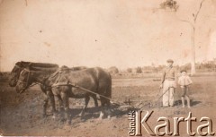 Lata 30., Kolonia Fram, prow. Itapúa, Paragwaj.
Praca na na roli.
Fot. NN, zbiory Asociación Polaca de Posadas, udostępniła Fabiana Śniechowski, reprodukcje cyfrowe w Bibliotece Polskiej im. Ignacego Domeyki w Buenos Aires (Biblioteca Polaca Ignacio Domeyko) i w Ośrodku KARTA w Warszawie 



