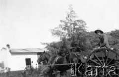 1942, Villa Dolores, Misiones, Argentyna.
Francisco Maximowicz wraca ze sprzedaży mleka i warzyw.
Fot. NN, zbiory Asociación Polaca de Posadas, udostępniła Fabiana Śniechowski, reprodukcje cyfrowe w Bibliotece Polskiej im. Ignacego Domeyki w Buenos Aires (Biblioteca Polaca Ignacio Domeyko) i w Ośrodku KARTA w Warszawie 



