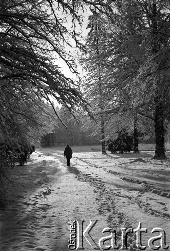 Lata 70., Szczecin, Polska.
Park.
Fot. Maciej Jasiecki, zbiory Ośrodka KARTA