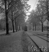 Lata 70., Szczecin, Polska.
Aleja Piastów.
Fot. Maciej Jasiecki, zbiory Ośrodka KARTA