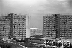 Lata 70., Szczecin, Polska.
Wieżowce przy ul. Ofiar Oświęcimia.
Fot. Maciej Jasiecki, zbiory Ośrodka KARTA