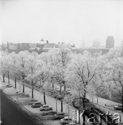 Lata 70., Szczecin, Polska.
Aleja Niepodległości.
Fot. Maciej Jasiecki, zbiory Ośrodka KARTA