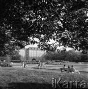 Lata 70., Szczecin, Polska.
Jasne Błonia, w tle Miejska Rada Narodowa (obecnie Urząd Miejski).
Fot. Maciej Jasiecki, zbiory Ośrodka KARTA