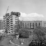 Lata 60.-70., Szczecin, Polska.
Pl. Żołnierza Polskiego.
Fot. Maciej Jasiecki, Fundacja Ośrodka KARTA