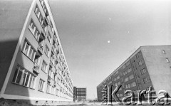 Lata 60., Szczecin, Polska.
Aleja Wyzwolenia.
Fot. Maciej Jasiecki, Fundacja Ośrodka KARTA
