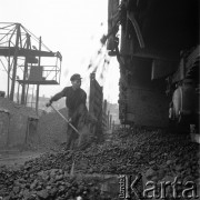 1972, Szczecin, Polska.
Reportaż 