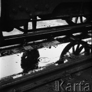 1972, Szczecin, Polska.
Reportaż 