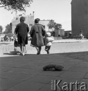 Lata 60.-70, Szczecin, Polska.
Porzucony na chodniku pluszak.
Fot. Maciej Jasiecki, zbiory Ośrodka KARTA