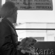 Lata 60.-70., Szczecin, Polska.
Pasażerka autobusu.
Fot. Maciej Jasiecki, Fundacja Ośrodka KARTA