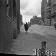 Lata 60.-70., Szczecin, Polska.
Scena uliczna.
Fot. Maciej Jasiecki, Fundacja Ośrodka KARTA