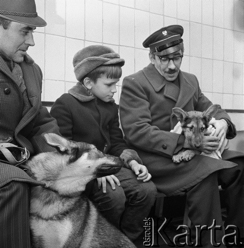 Lata 70., Szczecin, Polska.
Klinika weterynaryjna.
Fot. Maciej Jasiecki, zbiory Ośrodka KARTA