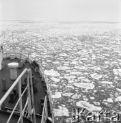 Lata 70., Szwecja, Polska.
Kra pływająca przy statku. Zdjęcie wykonane w czasie rejsu promu m/f Gryf na trasie Świnoujście-Ystad (Szwecja).
Fot. Maciej Jasiecki, zbiory Ośrodka KARTA
