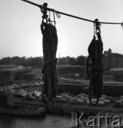 Lata 70., brak miejsca.
Liny okrętowe. Zdjęcie wykonane w czasie rejsu promu m/f Gryf na trasie Świnoujście-Ystad (Szwecja).
Fot. Maciej Jasiecki, zbiory Ośrodka KARTA