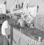 Lata 70., brak miejsca.
Basen na pokładzie statku. Zdjęcie wykonane w czasie rejsu MS Bieszczady, statku Polskiej Żeglugi Morskiej.
Fot. Maciej Jasiecki, zbiory Ośrodka KARTA