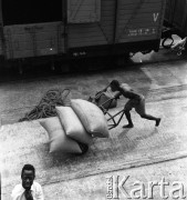 Lata 70., Casablanca, Maroko.
Rozładunek w porcie. Zdjęcie wykonane w czasie rejsu MS Bieszczady, statku Polskiej Żeglugi Morskiej.
Fot. Maciej Jasiecki, zbiory Ośrodka KARTA