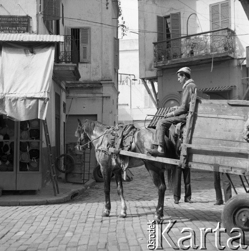 Lata 70., Casablanca, Maroko.
Koń z wozem. Zdjęcie wykonane w czasie rejsu MS Bieszczady, statku Polskiej Żeglugi Morskiej.
Fot. Maciej Jasiecki, zbiory Ośrodka KARTA