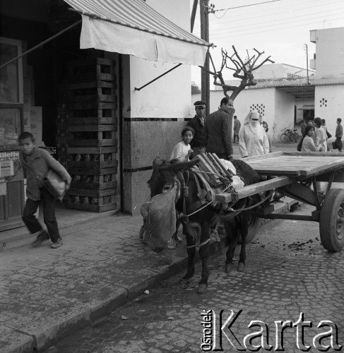 Lata 70., Casablanca, Maroko.
Osioł w powozie. Zdjęcie wykonane w czasie rejsu MS Bieszczady, statku Polskiej Żeglugi Morskiej.
Fot. Maciej Jasiecki, zbiory Ośrodka KARTA