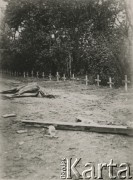 Po 1.09.1939, Warszawa, Polska.
Zwłoki konia na cmentarzu.
Fot. NN, zbiory Ośrodka KARTA, udostępnił Roman Trojanowicz