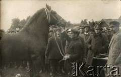 Przed 1939, Krasne, woj. wileńskie, Polska.
Prezentacja konia na wystawie zwierząt hodowlanych w Krasnem. 2 z prawej stoi Jan Piekutowski - urzędnik państwowy.
Fot. NN, kolekcja Jana Piekutowskiego, zbiory Ośrodka KARTA