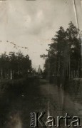 1923, Baranowicze, woj. nowogródzkie, Polska.
Pomnik upamiętniający ofiary etapu repatriacyjnego w Baranowiczach. Na cokole widnieje napis: ”Polsko, Matko nasza/W służbie twej wierni/ życie swe oddaliśmy/Pamięci 182 pracowników etapu repatriacyjnego w Baranowiczach/ Zmarłych w latach odrodzenia Ojczyzny/1920-1923”.
Fot. NN, kolekcja Jana Piekutowskiego, zbiory Ośrodka KARTA