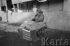 Zima 1981-1982, Warszawa, Polska.
Stan wojenny, kobieta sprzedaje chrzan.
Fot. Małgorzata Niezabitowska i Tomasz Tomaszewski, zbiory Ośrodka KARTA
