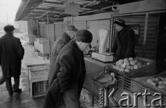 Zima 1981-1982, Warszawa, Polska.
Stan wojenny, stoisko z owocami na bazarze przy ul. Banacha.
Fot. Małgorzata Niezabitowska i Tomasz Tomaszewski, zbiory Ośrodka KARTA