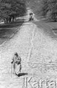 Lata 90., Kalwaria Zebrzydowska, Polska.
Sanktuarium Pasyjno-Maryjne w Kalwarii Zebrzydowskiej. Pustelnik Józef Żarnowiecki idzie drogą. W oddali jedna z kapliczek w zespole dróżek kalwaryjskich - wzniesiona w 1926 roku Kaplica św. Weroniki. 
Fot. Tomasz Tomaszewski, zbiory Ośrodka KARTA
