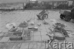 1982, Polska.
Sprzedaż warzyw.
Fot. Tomasz Tomaszewski, zbiory Ośrodka KARTA