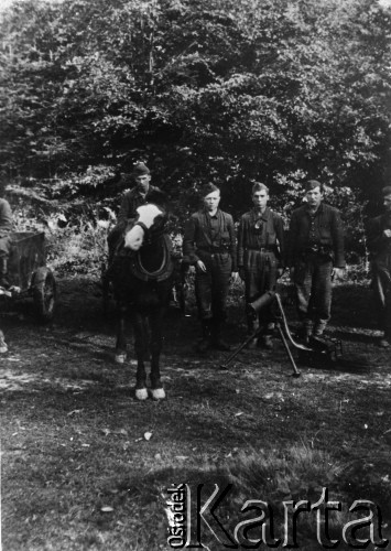 20.09.1943, Łysica, Góry Świętokrzyskie. 
Zgrupowania Partyzanckie AK 