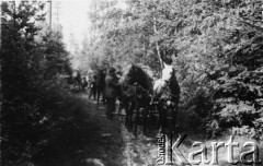 Druga połowa 1943, Góry Świętokrzyskie.
Zgrupowania Partyzanckie AK 