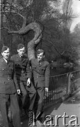 1943-1946, Wielka Brytania. 
Grupa niezidentyfikowanych lotników z personelu naziemnego Polskich Sił Powietrznych pozuje do zdjęcia w czasie wolnym od służby.
Fot. Zenon Brejwo, zbiory Ośrodka KARTA