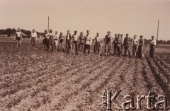 12.06.1941, Pfäffikon, Szwajcaria.
Żołnierze 6. Kresowego Pułku Strzelców Pieszych podczas prac na polu.
Fot. NN, zbiory Ośrodka KARTA, album przekazała Wanda Klenczon