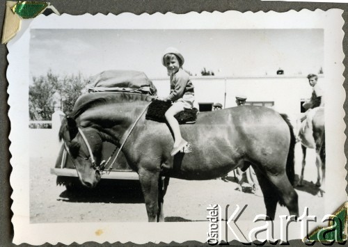 1960, Santa Rosa, Argentyna.
Susana Zacharko - córka polskich emigrantów z Comodoro Rivadavia - w Pampie.
Fot. NN, zbiory Adeli Kozlowski i Eugeniusza Zacharko, reprodukcje cyfrowe w  Bibliotece Polskiej im. Ignacego Domeyki w Buenos Aires (Biblioteca Polaca Ignacio Domeyko) i w Ośrodku KARTA w Warszawie.




