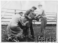 Lata 60., Tierra del Fuego (Ziemia Ognista), Argentyna.
Szkoła rolnicza Salezjanów. Enrique Koprowski (z prawej).
Fot. NN, zbiory Enrique Koprowskiego, reprodukcje cyfrowe w Bibliotece Polskiej im. Ignacego Domeyki w Buenos Aires (Biblioteca Polaca Ignacio Domeyko) i w Ośrodku KARTA w Warszawie.