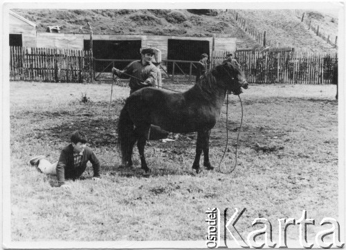 Lata 60., Tierra del Fuego (Ziemia Ognista), Argentyna.
Szkoła rolnicza Salezjanów.
Fot. NN, zbiory Enrique Koprowskiego, reprodukcje cyfrowe w Bibliotece Polskiej im. Ignacego Domeyki w Buenos Aires (Biblioteca Polaca Ignacio Domeyko) i w Ośrodku KARTA w Warszawie.