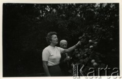 1961, Milanówek, Polska.
Krystyna Mickiewicz z domu Burhardt - matka Moniki Mickiewicz - i Aleksander Burhardt - dziadek Moniki Mickiewicz.
Fot. NN, zbiory Moniki Mickiewicz, reprodukcje cyfrowe w Bibliotece Polskiej im. Ignacego Domeyki w Buenos Aires (Biblioteca Polaca Ignacio Domeyko) i w Ośrodku KARTA w Warszawie.