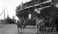 1918, Chiny.
Port.
Fot. NN, kolekcja Jarosława Okulicza-Kozaryna, zbiory Ośrodka KARTA
