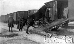 1919, Syberia, Rosja.
Żołnierze V Dywizji Strzelców Syberyjskich na stacji kolejowej.
Fot. Jarosław Okulicz-Kozaryn, zbiory Ośrodka KARTA