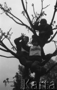1.05.1989, Warszawa, Polska.
Manifestacja zorganizowana przez NSZZ 